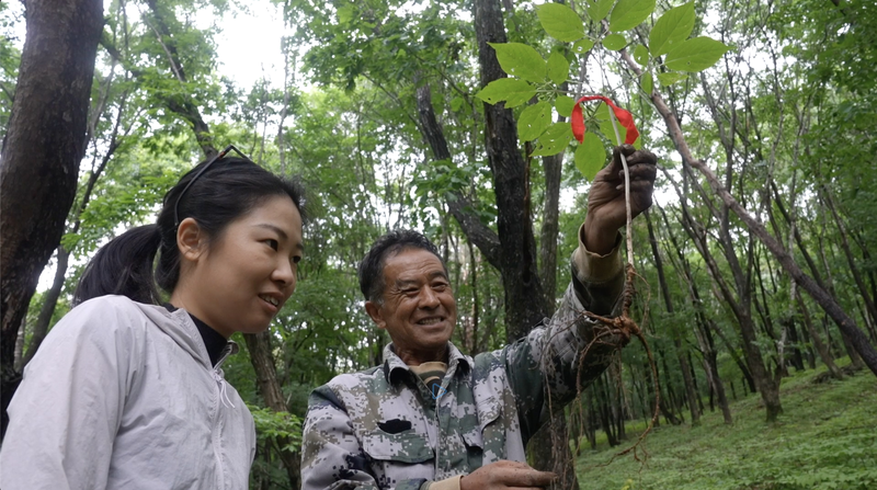 4BY4978FJ7KLF6QFYM0E - 🌍NewspaperAmigo – Your Global News Buddy 🗞️ Ji'an’s Rural Revolution: How ‘One Village, One Product’ Sparks Sustainable Growth 🌱🏡 video poster