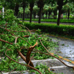 4HPF2WDEHWJ2Q0K1HUVF - 🌍NewspaperAmigo – Your Global News Buddy 🗞️ China Boosts Typhoon Wutip Response as Storm Hits South 🌪️🇨🇳