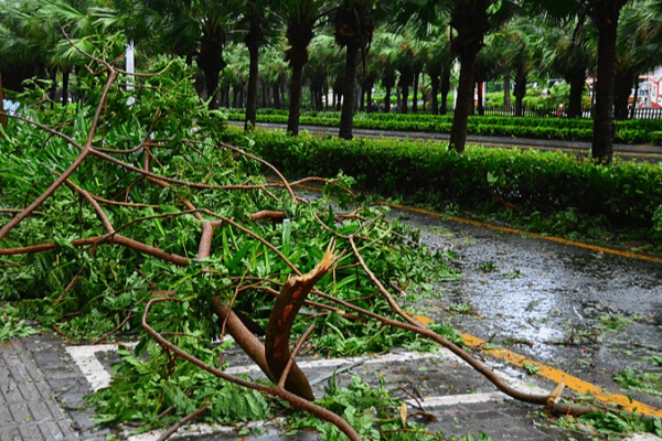 China Boosts Typhoon Wutip Response as Storm Hits South 🌪️🇨🇳 China Boosts Typhoon Wutip Response as Storm Hits South 🌪️🇨🇳