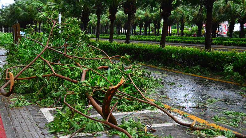 China Boosts Typhoon Wutip Response as Storm Hits South 🌪️🇨🇳