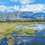 Xizang's Eco-Wins: China's 'Roof of the World' Stays Green in 2024 🌱🏔️