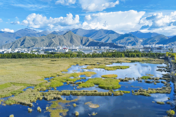 Xizang's Eco-Wins: China's 'Roof of the World' Stays Green in 2024 🌱🏔️