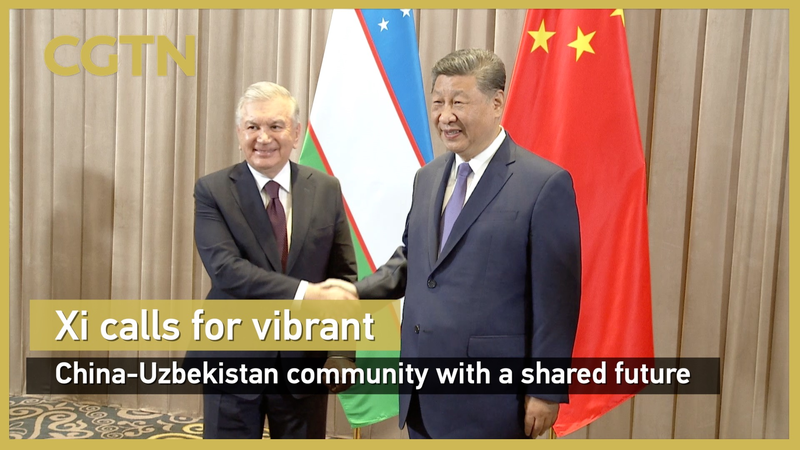 Xi & Mirziyoyev Forge Stronger Ties 🌏✨ video poster