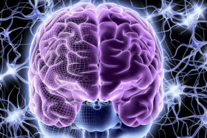Breakthrough Brain Therapy: Chinese Scientists Develop Healing Hydrogel 🧠💧