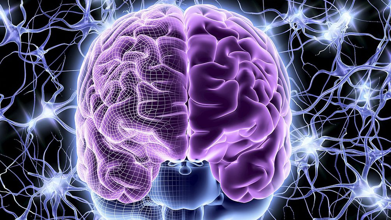 8BIJ8LH02VPIKWN0F44V - 🌍NewspaperAmigo – Your Global News Buddy 🗞️ Breakthrough Brain Therapy: Chinese Scientists Develop Healing Hydrogel 🧠💧