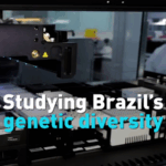 AEQCO819WTFFVRIMQC97 - 🌍NewspaperAmigo – Your Global News Buddy 🗞️ Brazil’s DNA Tells a Story of Epic Diversity 🌎🧬 video poster
