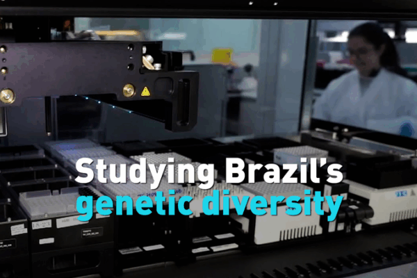 Brazil’s DNA Tells a Story of Epic Diversity 🌎🧬 Brazil’s DNA Tells a Story of Epic Diversity 🌎🧬 video poster