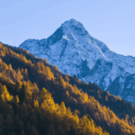 CC8ICLUHVUJHWDBO4ZGN - 🌍NewspaperAmigo – Your Global News Buddy 🗞️ 🌱 New Study Reveals Qinghai-Tibet Plateau’s Secret Carbon Superpower!