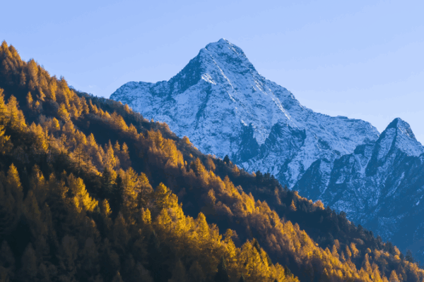 CC8ICLUHVUJHWDBO4ZGN - 🌍NewspaperAmigo – Your Global News Buddy 🗞️ 🌱 New Study Reveals Qinghai-Tibet Plateau’s Secret Carbon Superpower!