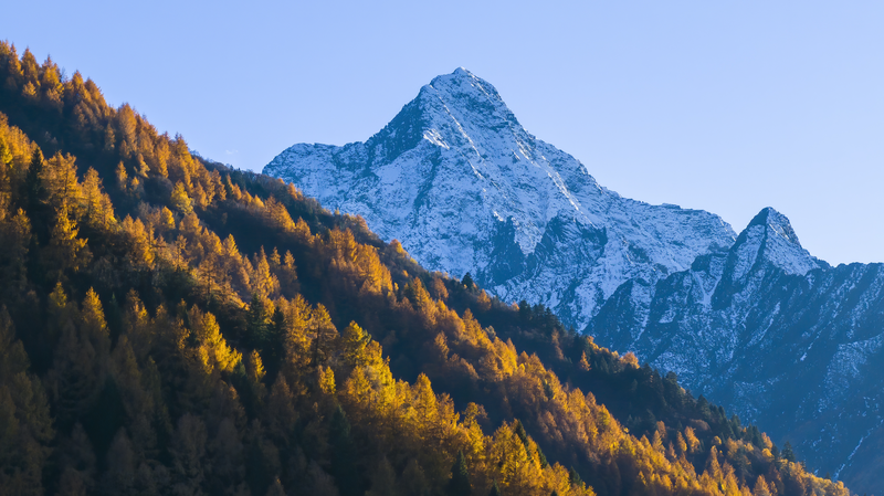 🌱 New Study Reveals Qinghai-Tibet Plateau’s Secret Carbon Superpower!