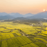 COF7D4PMV0WD7Y96CIJG - 🌍NewspaperAmigo – Your Global News Buddy 🗞️ China Celebrates Heritage Day 2025 in Changsha 🌏🏯