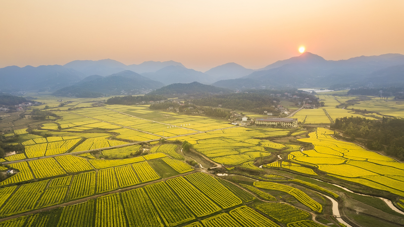COF7D4PMV0WD7Y96CIJG - 🌍NewspaperAmigo – Your Global News Buddy 🗞️ China Celebrates Heritage Day 2025 in Changsha 🌏🏯