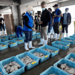 China to Resume Japanese Seafood Imports with Strict Safety Checks 🐟🇨🇳