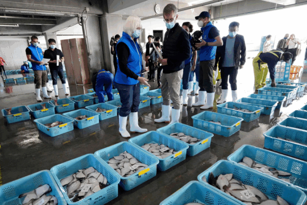 China to Resume Japanese Seafood Imports with Strict Safety Checks ๐๐จ๐ณ China to Resume Japanese Seafood Imports with Strict Safety Checks ๐๐จ๐ณ