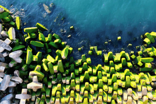 Qingdao’s Breakwater Turns Green: Algae Bloom Sparks Summer Caution 🌊🌿 Qingdao’s Breakwater Turns Green: Algae Bloom Sparks Summer Caution 🌊🌿