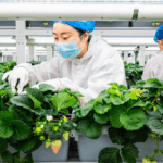 China’s Green Shift Sparks Eco-Innovation Boom 🌱💡
