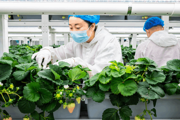 Chinaโs Green Shift Sparks Eco-Innovation Boom ๐ฑ๐ก Chinaโs Green Shift Sparks Eco-Innovation Boom ๐ฑ๐ก