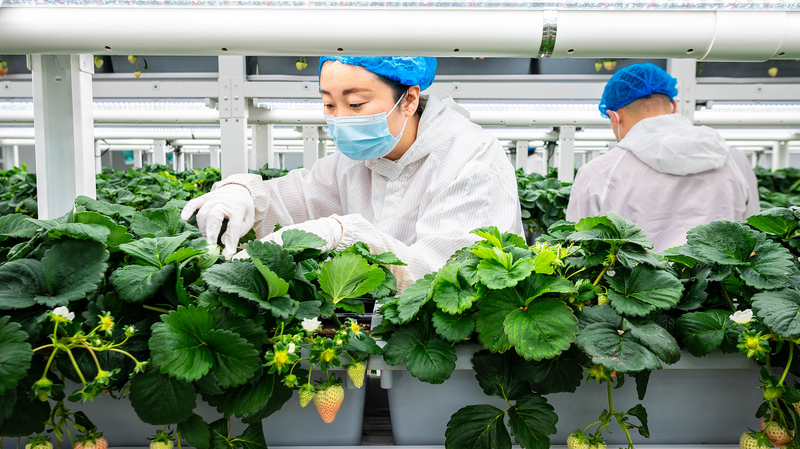 China’s Green Shift Sparks Eco-Innovation Boom 🌱💡