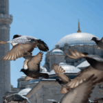 Ukraine-Russia Peace Talks Begin: What You Need to Know 🌍✌️ video poster