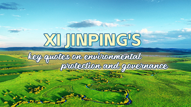 FJJ7YWIZ8V1LN7XTAGYN - 🌍NewspaperAmigo – Your Global News Buddy 🗞️ Xi Jinping Champions Global Green Future on World Environment Day 🌱🌍