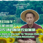 FX2D3B97EAAOOGS0VBJC - 🌍NewspaperAmigo – Your Global News Buddy 🗞️ 🌱 Tech Meets Tradition: Guangzhou’s High-Tech Farms Revolutionize Agriculture! video poster