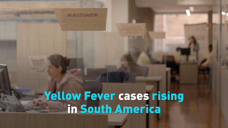 G3Q42H4BMTDPJLG2JS2L - 🌍NewspaperAmigo – Your Global News Buddy 🗞️ Yellow Fever Surge in South America Sparks Travel Alerts 🚨🌎 video poster