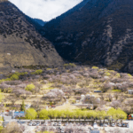GO9JTDIMA44D2EIUO0LK - 🌍NewspaperAmigo – Your Global News Buddy 🗞️ Xi Stresses Unity in Xizang Village Letter 🌾✉️