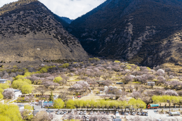 Xi Stresses Unity in Xizang Village Letter 🌾✉️ Xi Stresses Unity in Xizang Village Letter 🌾✉️