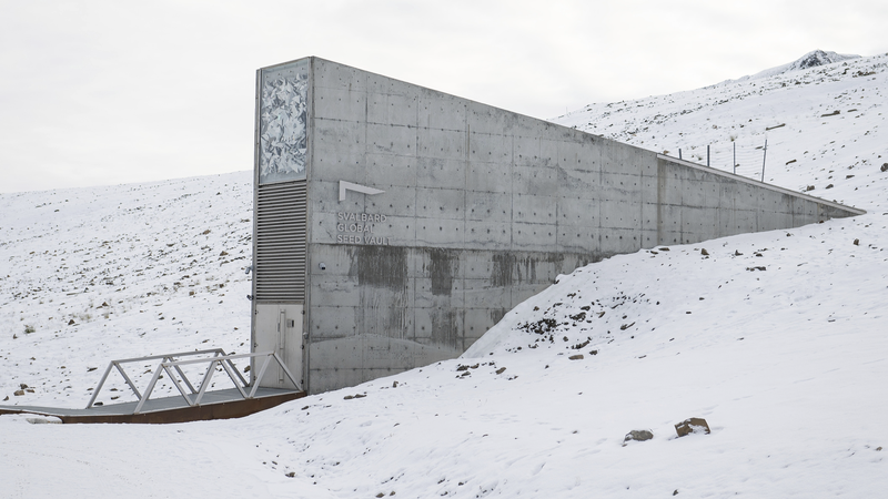 GUHNPP53XLZ8BJJ39FXM - 🌍NewspaperAmigo – Your Global News Buddy 🗞️ 🌱 Arctic Seed Vault Gets 11K+ New Samples to Safeguard Food Future