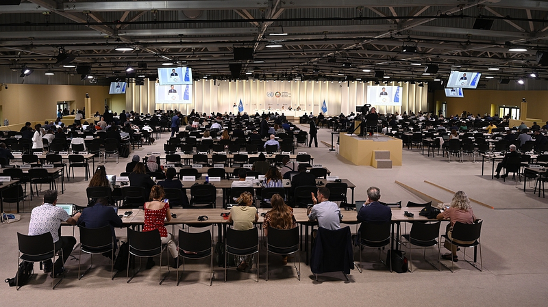 🌊 UN Ocean Conference Ends with Bold Action Plan to Save Our Seas