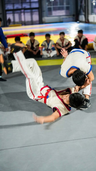 🤼♂️ Ancient Chinese Wrestling: 3,000 Years of Strategy Over Strength video poster