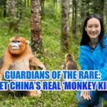 IA9MTAA3BT7UW0DB3L3J - 🌍NewspaperAmigo – Your Global News Buddy 🗞️ China’s Real-Life ‘Monkey King’ 🐒 Guardians Fight to Save a Species video poster