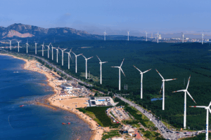 China’s Green Revolution: Nature Powers Low-Carbon Future 🌱⚡