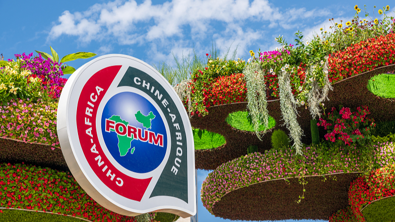 Xi & Congo Leader Hail China-Africa Partnership at FOCAC Meeting 🌍🤝