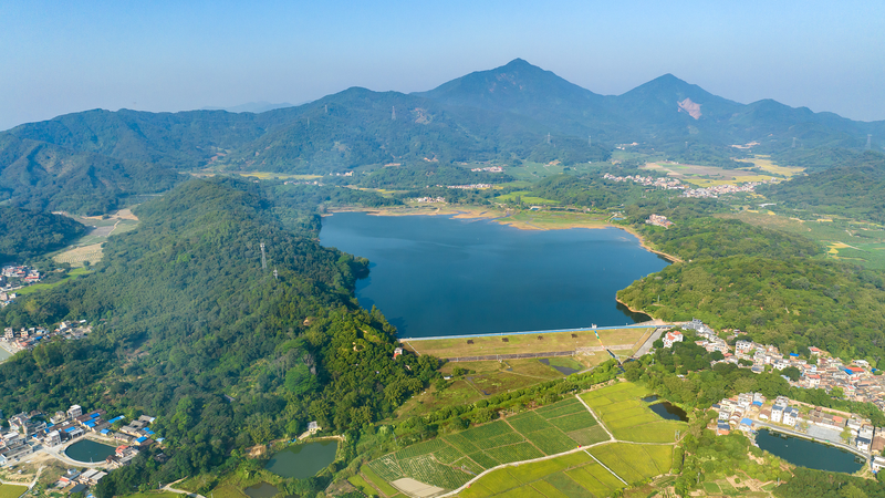 China Pushes Global Green Team-Up 🌱🌍