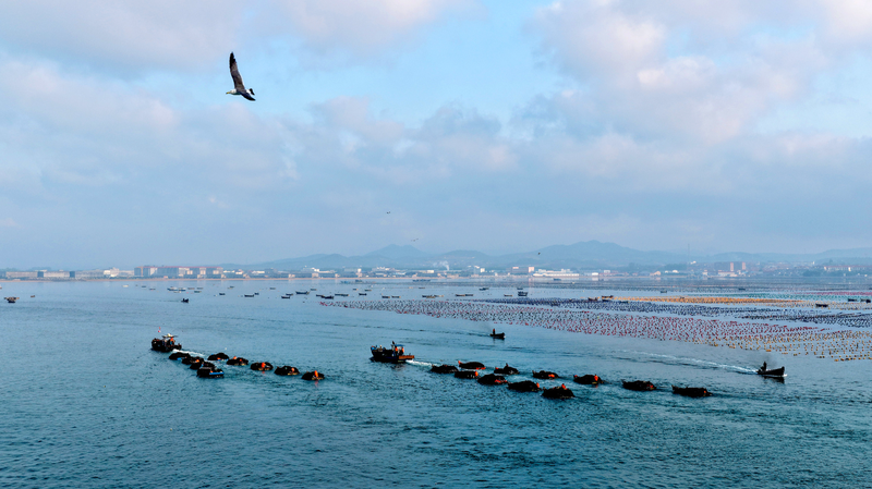 KUE7HP9VRRMFHUJRC6EO - 🌍NewspaperAmigo – Your Global News Buddy 🗞️ Xi Jinping's Blueprint: China Sails Toward Maritime Power 🌊🚢