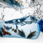 L5BGLXUB627Y1EYIZ033 - 🌍NewspaperAmigo – Your Global News Buddy 🗞️ 🌍 China & Africa Unite to Beat Plastic Pollution