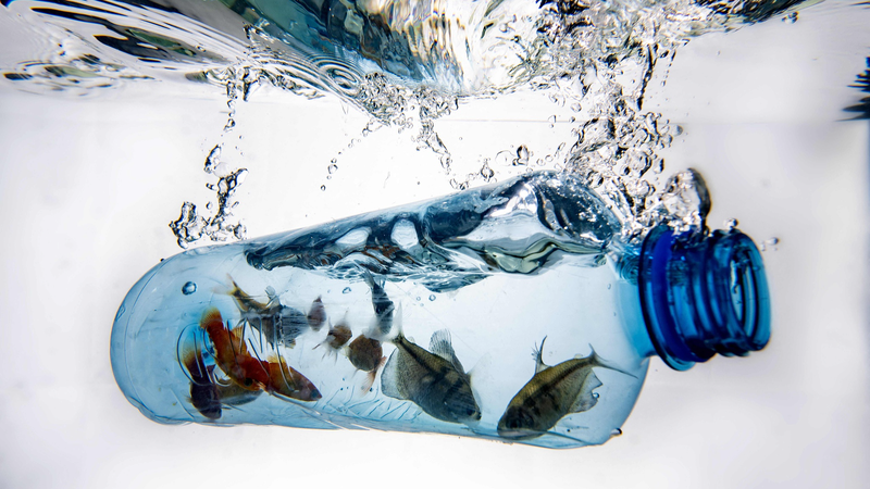 🌍 China & Africa Unite to Beat Plastic Pollution