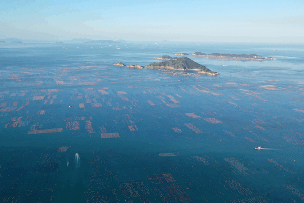 China Charts Course for Sustainable Oceans 🌊🤝 China Charts Course for Sustainable Oceans 🌊🤝