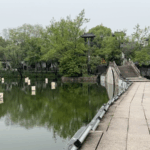 MO3HI8ZNHFTHBCYNUG7E - 🌍NewspaperAmigo – Your Global News Buddy 🗞️ Xixi Wetland: Hangzhou’s 4,000-Year-Old Green Oasis 🌿🎋