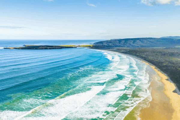🌏 New Zealand Eases Travel for Chinese Visitors, Unveils The Catlins’ Natural Wonders 🌏 New Zealand Eases Travel for Chinese Visitors, Unveils The Catlins’ Natural Wonders