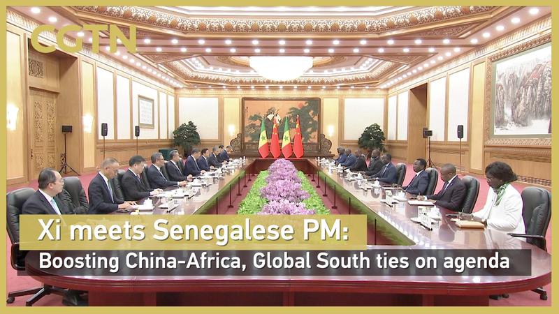 Xi Champions Stronger China-Africa Ties in Beijing Meeting 🌍🤝 video poster