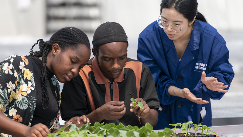 OD4269P9B6T5ZASTU319 - 🌍NewspaperAmigo – Your Global News Buddy 🗞️ China & Africa Unite for Global South Solidarity in Changsha 🌍✨