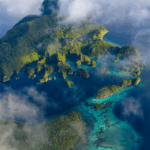 P8YB6UV6T1GTUVGQECXE - 🌍NewspaperAmigo – Your Global News Buddy 🗞️ Indonesia Dives into Marine Conservation with New 'Coral Reef Bond' 🌊💸