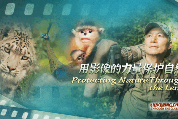 📸 China’s Wildlife Guardian: How a Photographer Fights for Biodiversity 🌿 📸 China's Wildlife Guardian: How a Photographer Fights for Biodiversity 🌿 video poster