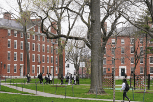 Harvard Wins Battle to Host International Students 🎓🌍