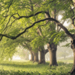QEXIU5ZU4N5KULFRTJ1X - 🌍NewspaperAmigo – Your Global News Buddy 🗞️ 🌳 Trees 'Breathe' Differently, Cooling Climate Forecasts, Study Finds