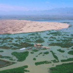 QYFM3EN3NWRY4UNBOUUZ - 🌍NewspaperAmigo – Your Global News Buddy 🗞️ 🌱 Turning Sand into Solar Power: China’s Desert Miracle Sparks Global Hope video poster