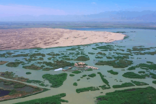 🌱 Turning Sand into Solar Power: China’s Desert Miracle Sparks Global Hope 🌱 Turning Sand into Solar Power: China’s Desert Miracle Sparks Global Hope video poster