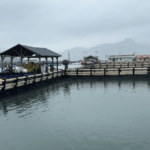 R8AYRALV98EA1KZL7GV6-1 - 🌍NewspaperAmigo – Your Global News Buddy 🗞️ 🌊 Sandu'ao’s Eco-Revolution: Fishing Village Goes Green for World Ocean Day! video poster